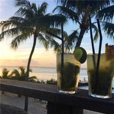 澳门2023全年免费资料大全