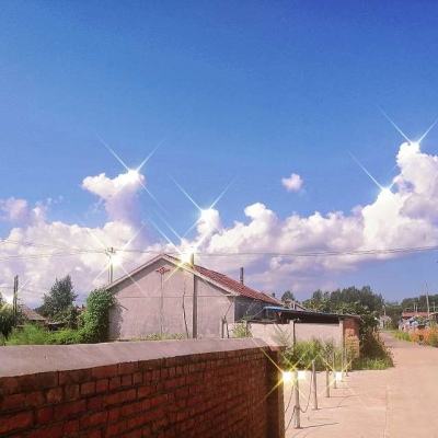 博鱼综合app官网登录截图