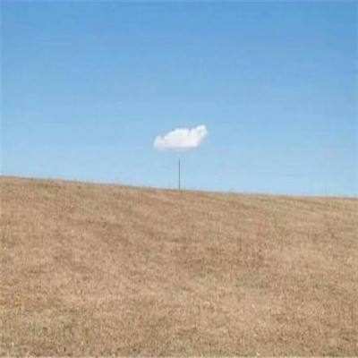 江南appapp下载截图